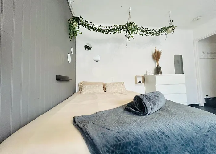 Cosy - & Soleil